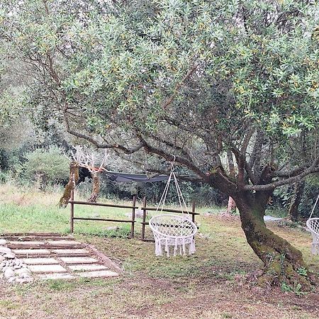 Moradia Rural De Charme Agradavel E Acolhedora Villa Arrimal Exteriör bild