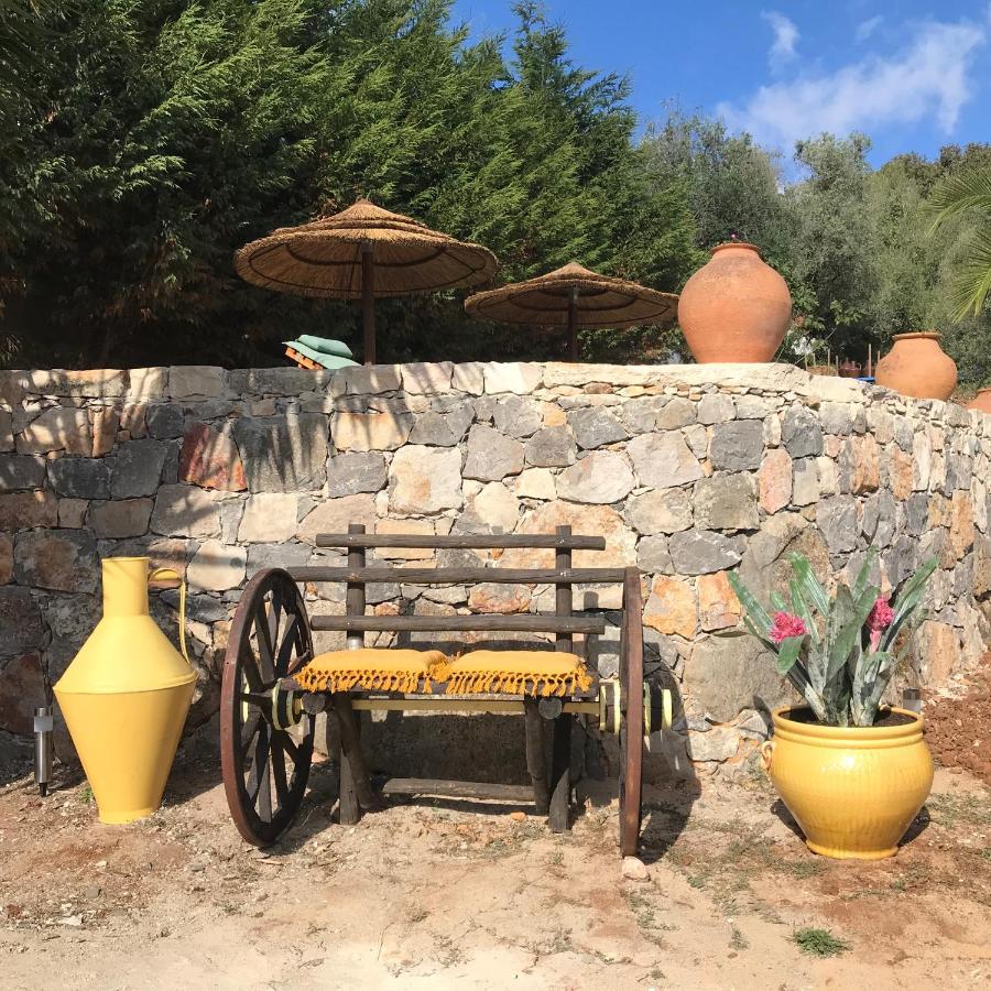 Moradia Rural De Charme Agradavel E Acolhedora Villa Arrimal Exteriör bild
