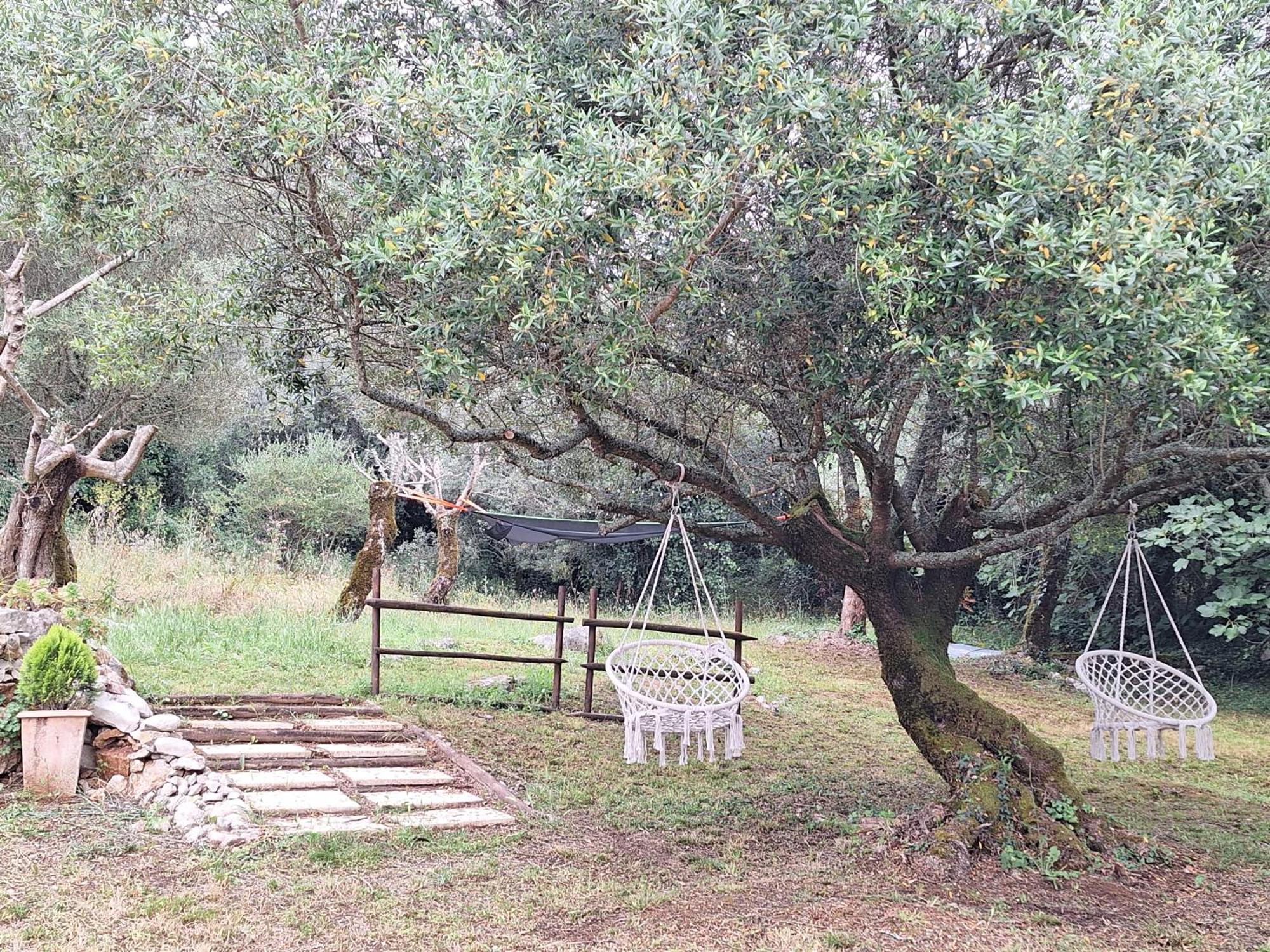 Moradia Rural De Charme Agradavel E Acolhedora Villa Arrimal Exteriör bild